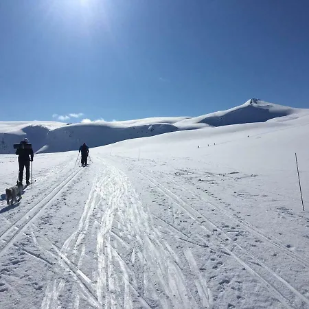 Ilevegen 15 * Tromsø